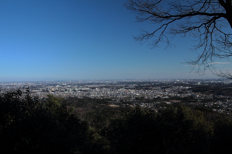 日和田山からの眺望
