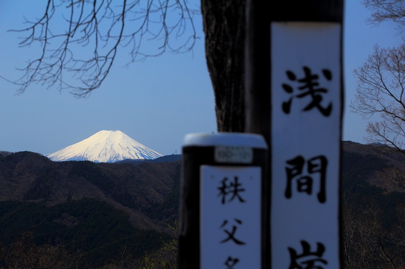 富士山を臨む
